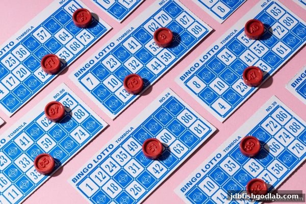 北京赛车彩票中奖传奇：从历史经典案例看概率与策略，jdb电子财神捕鱼带来新启示