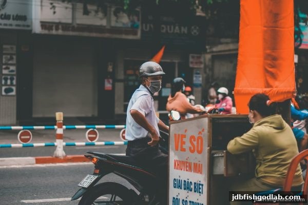 快3彩票的演变与策略解析——jdb电子财神捕鱼如何重塑数字娱乐