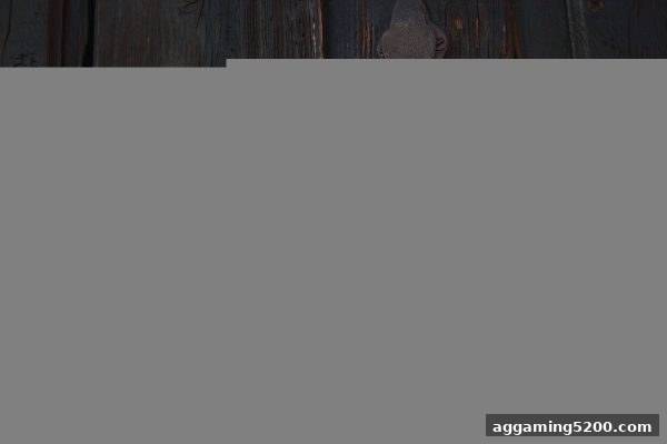 安全监管护航娱乐体验：jdb电子财神捕鱼帮你筛选靠谱PG老虎机平台