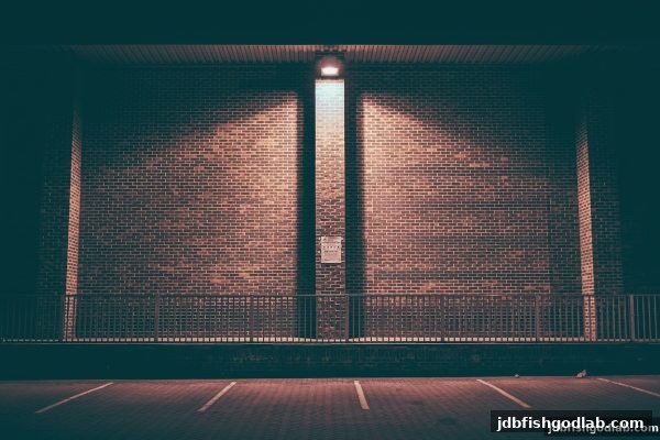 jdb电子财神捕鱼深度指南：捕鱼王特殊符号的全面解析与实战策略